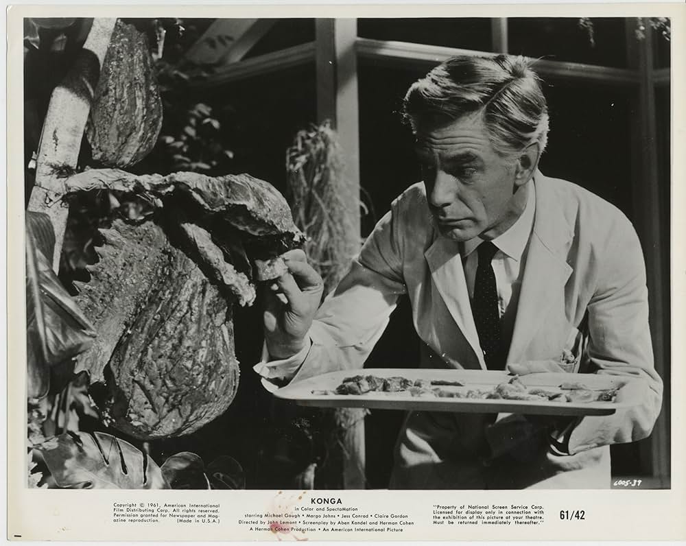 巨大猿怪獣の画像