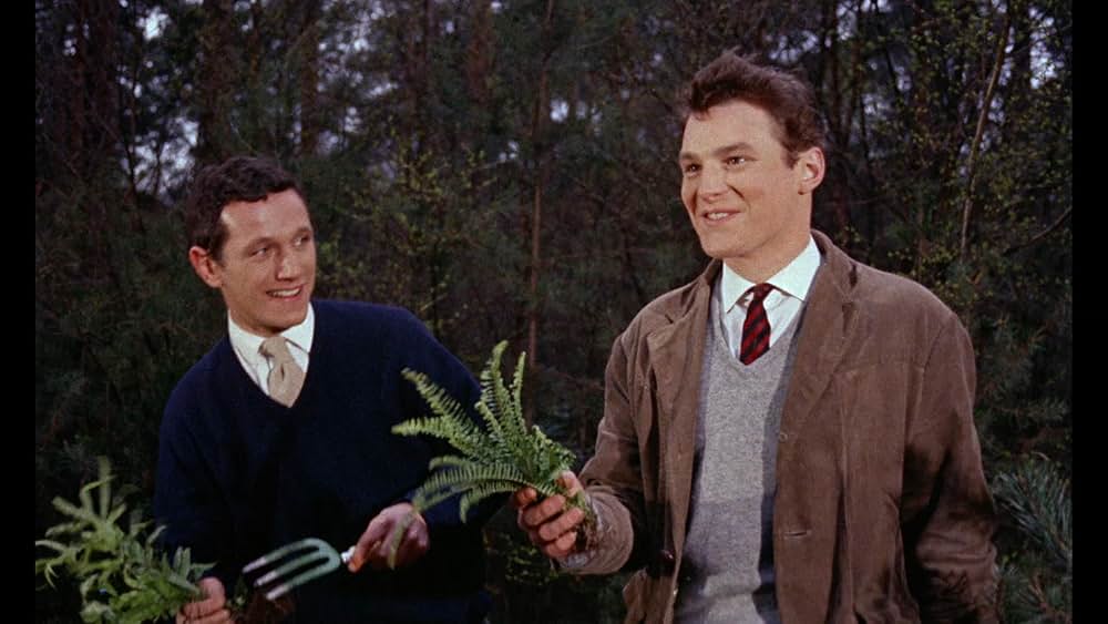 巨大猿怪獣の画像