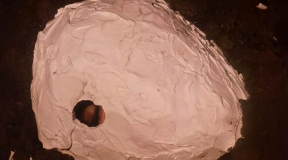 殺しのマスクの画像