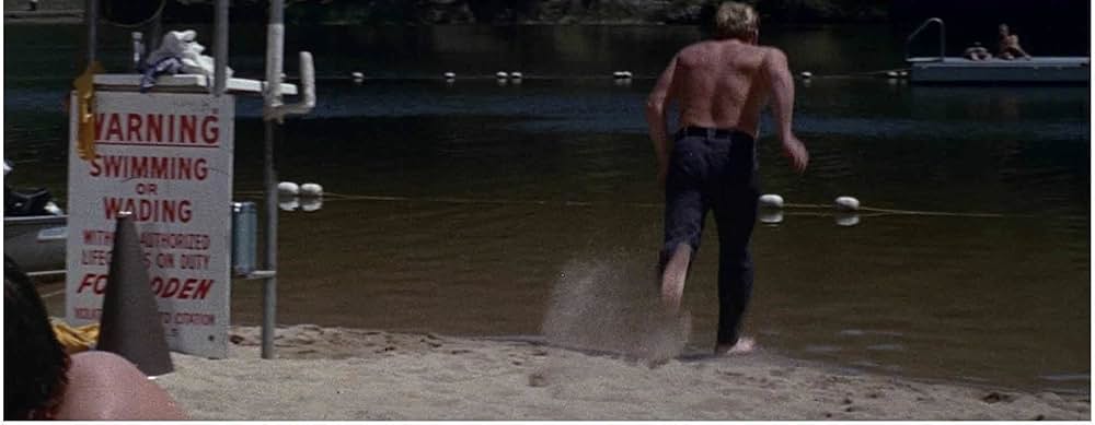 ザ・ラスト・スタントの画像