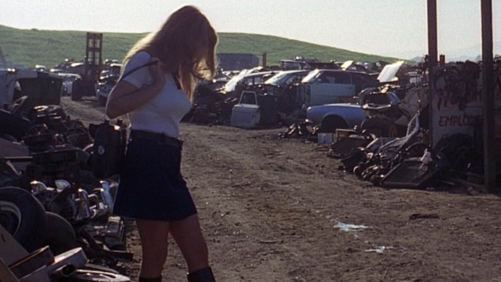 ザ・ラスト・スタントの画像