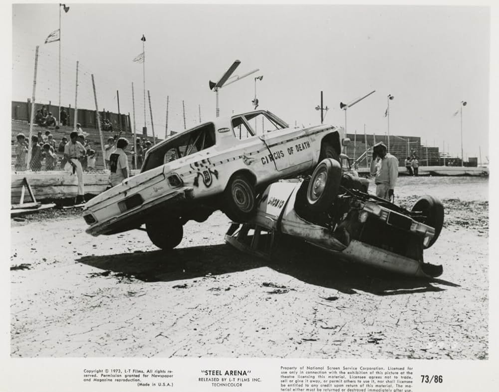 ザ・ラスト・スタントの画像