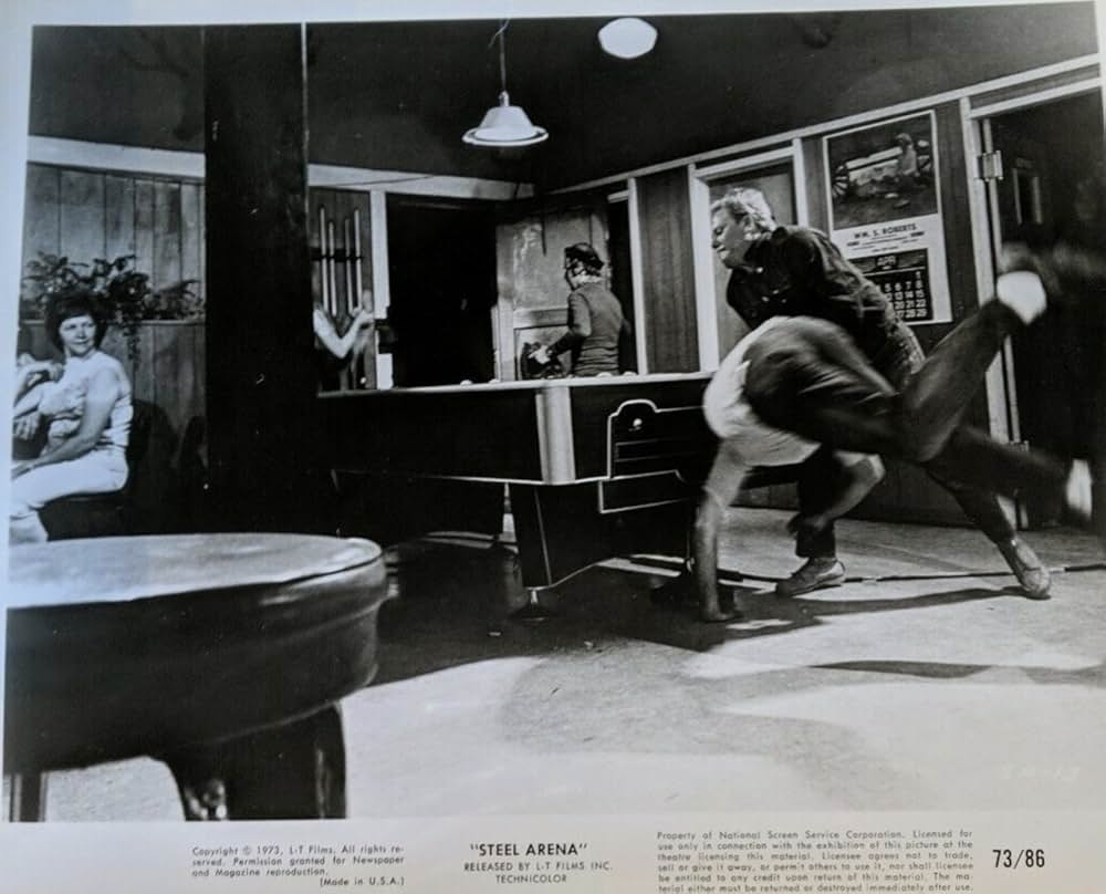 ザ・ラスト・スタントの画像