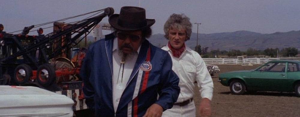 ザ・ラスト・スタントの画像