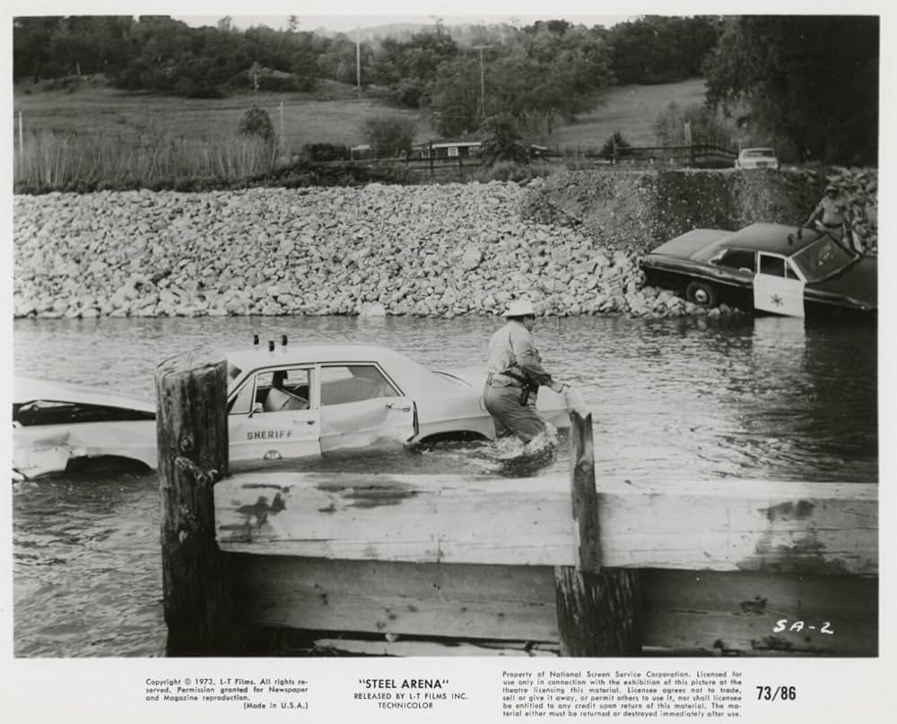 ザ・ラスト・スタントの画像