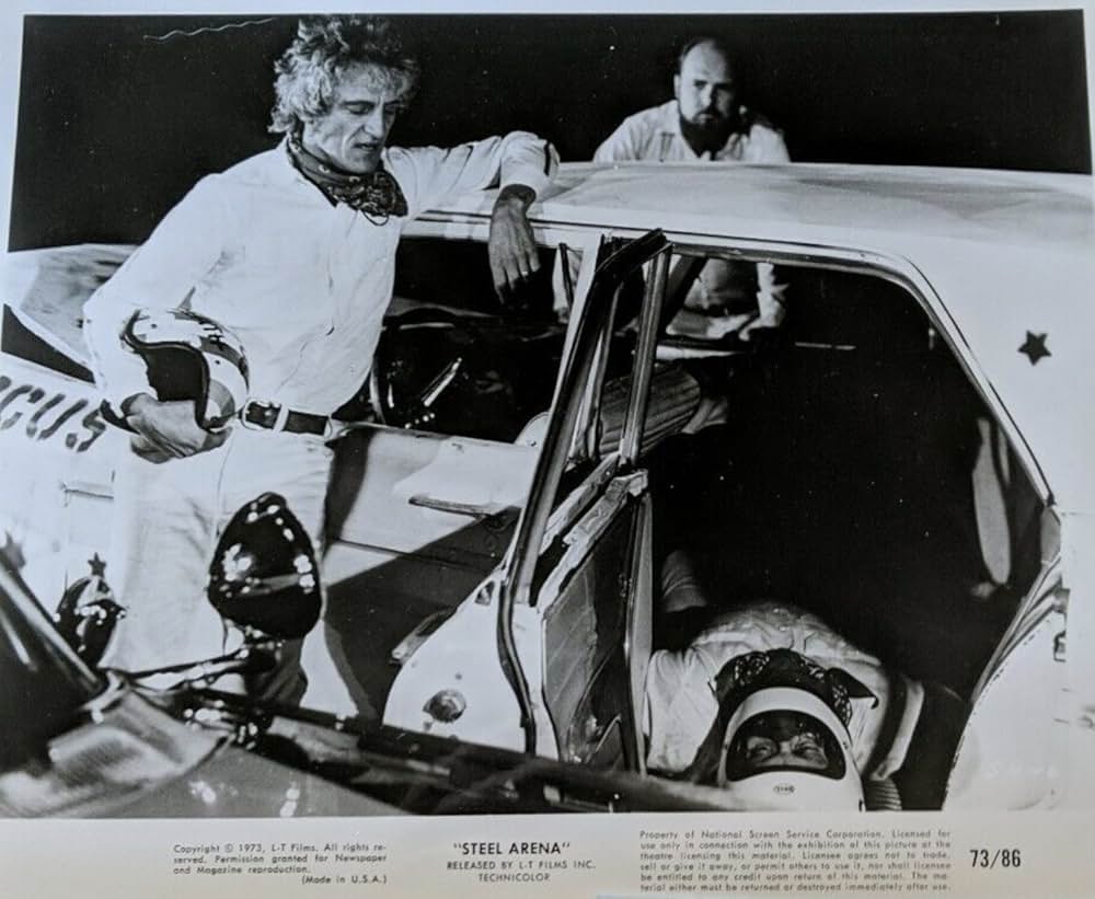 ザ・ラスト・スタントの画像