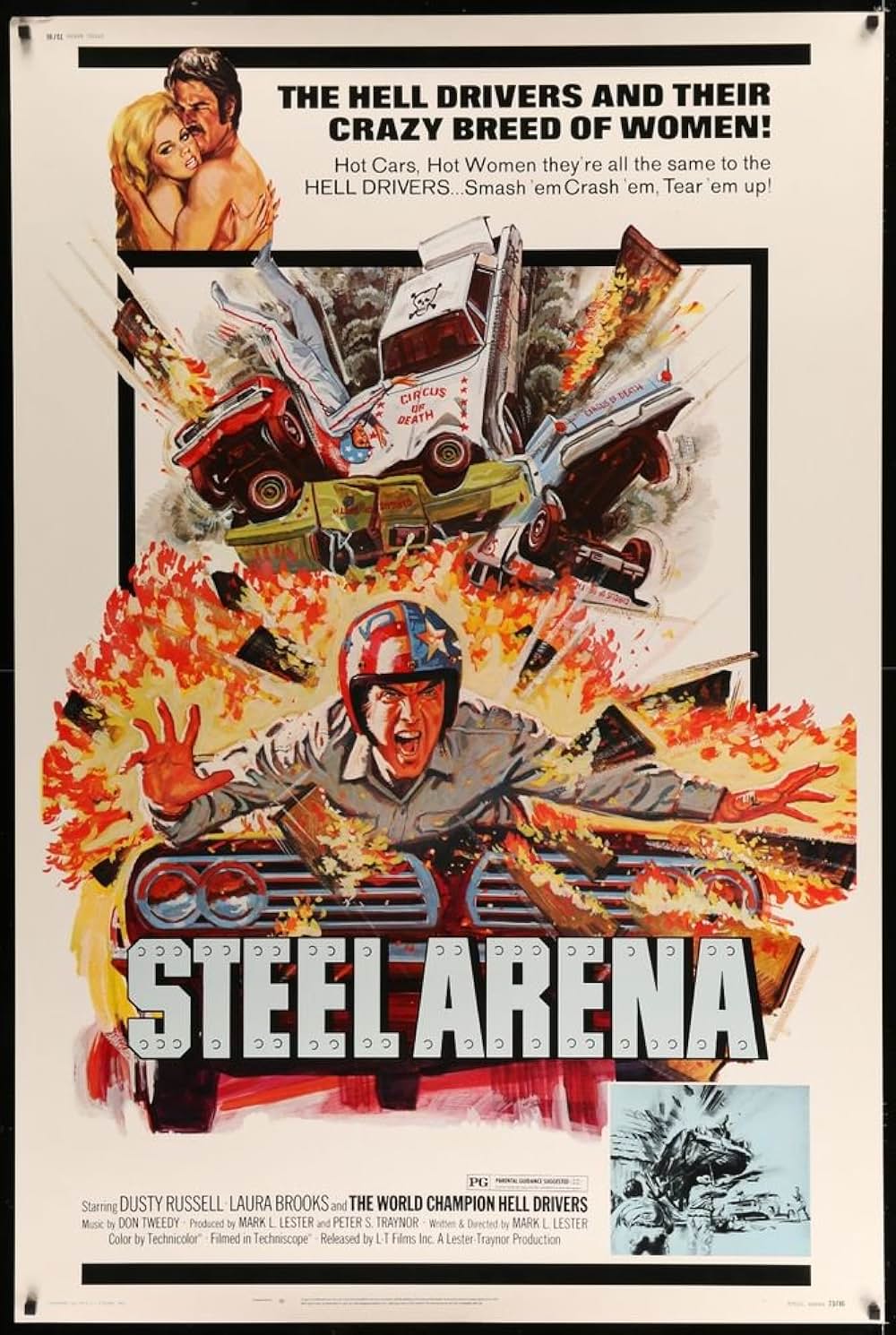 ザ・ラスト・スタントの画像