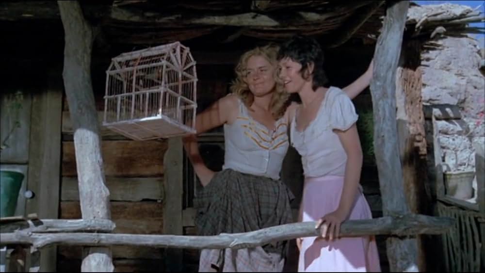 テキサス大強盗団の画像