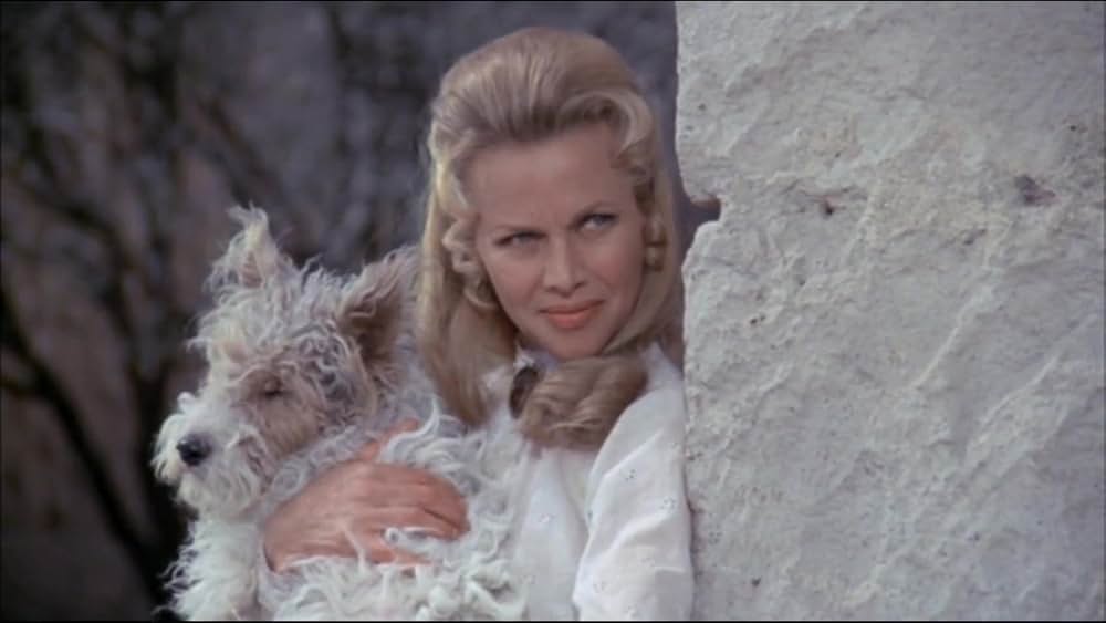 テキサス大強盗団の画像