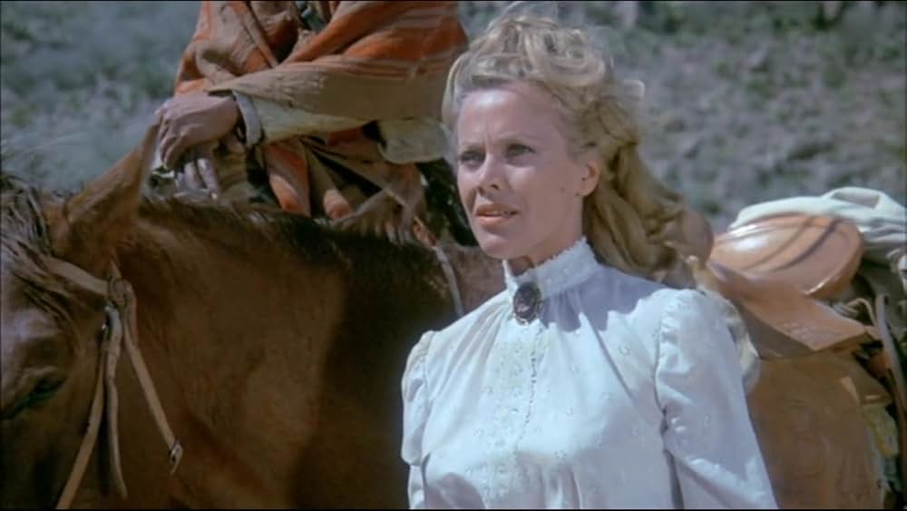 テキサス大強盗団の画像