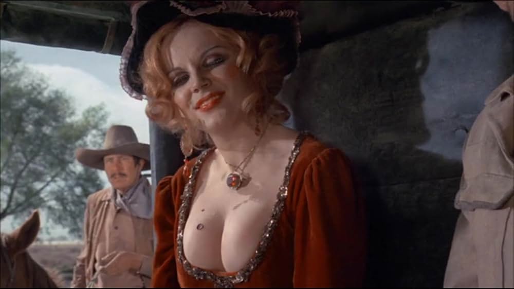 テキサス大強盗団の画像