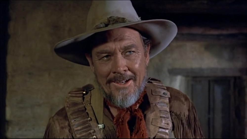 テキサス大強盗団の画像