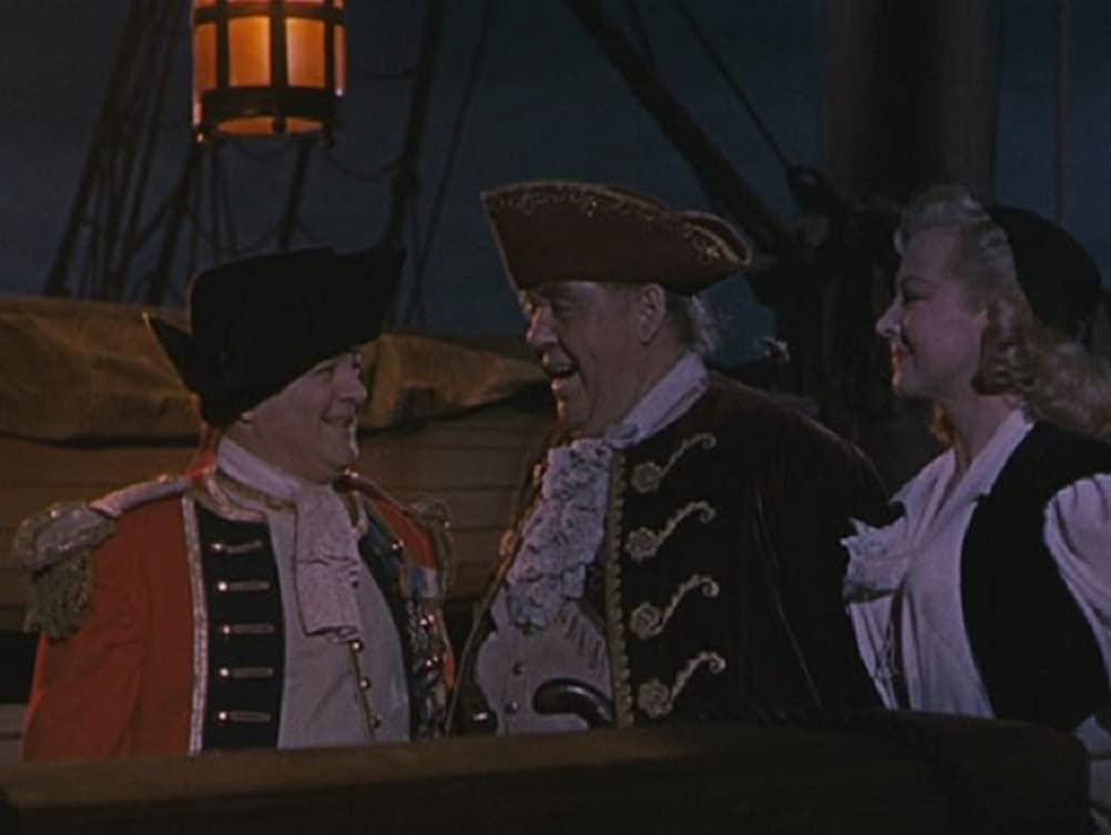 凸凹海賊船の画像