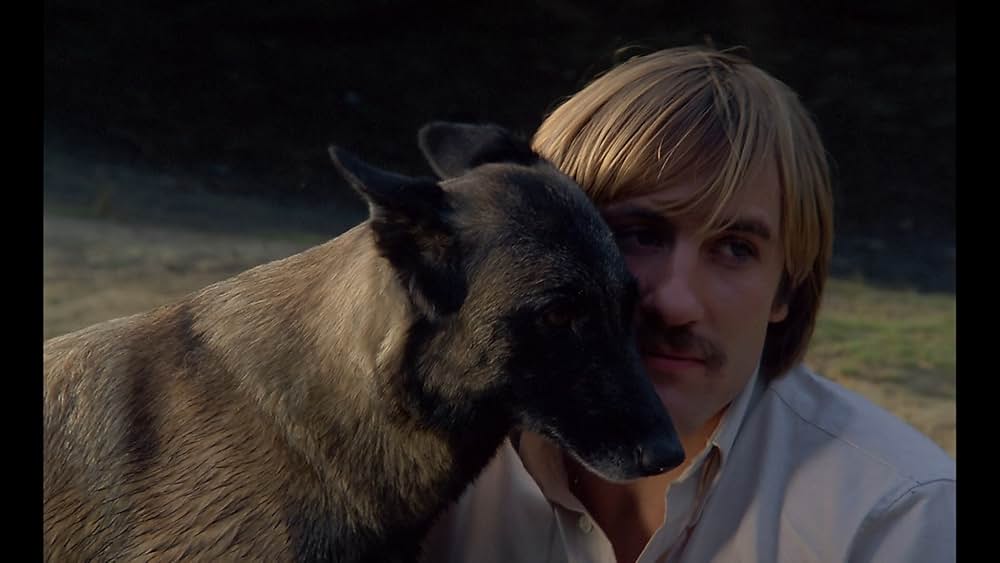 護衛犬都市の画像