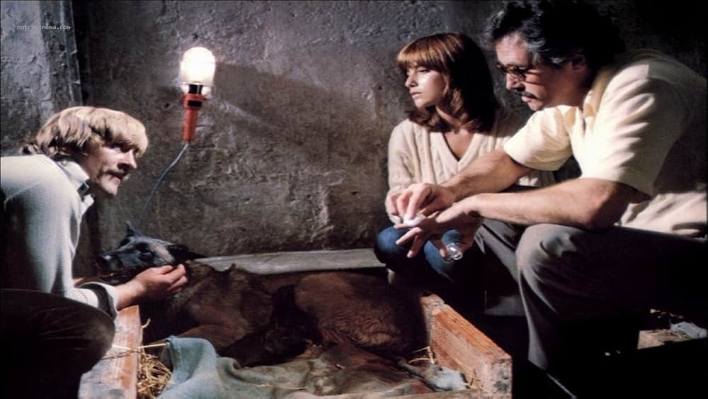 護衛犬都市の画像