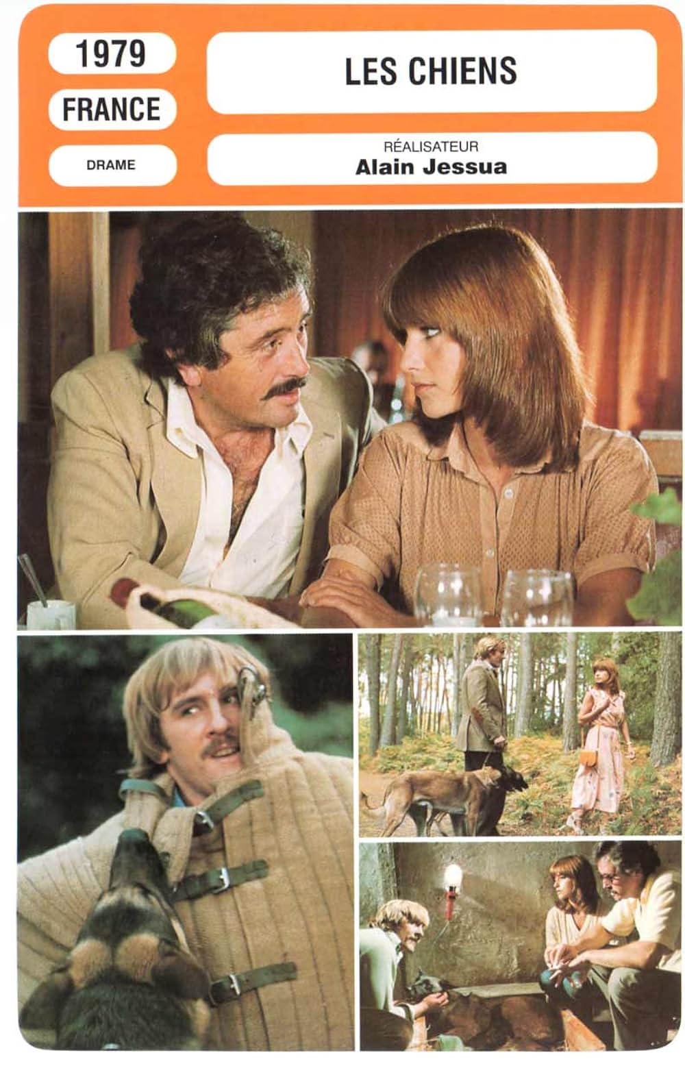 護衛犬都市の画像