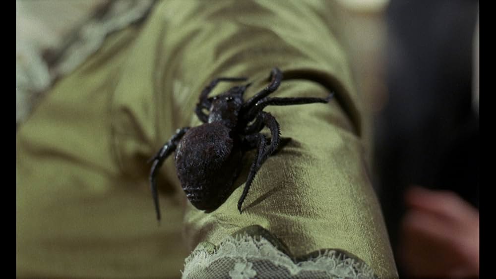 吸血蛾クレアの画像