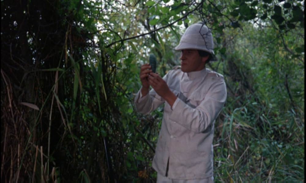 吸血蛾クレアの画像