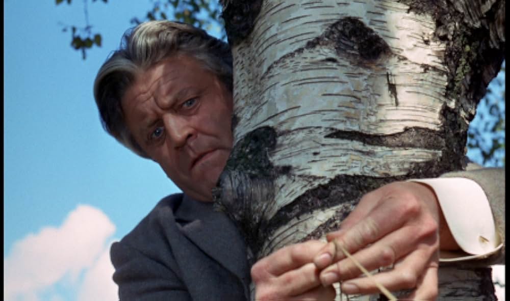 吸血蛾クレアの画像