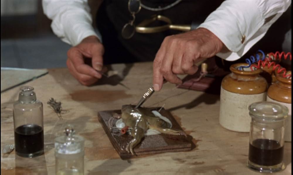 吸血蛾クレアの画像