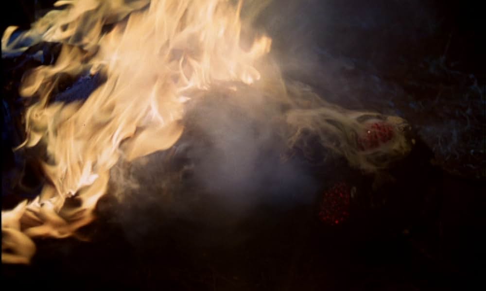 吸血蛾クレアの画像