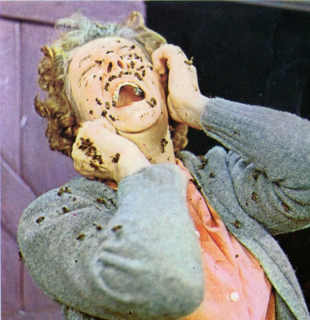 恐怖の昆虫殺人の画像