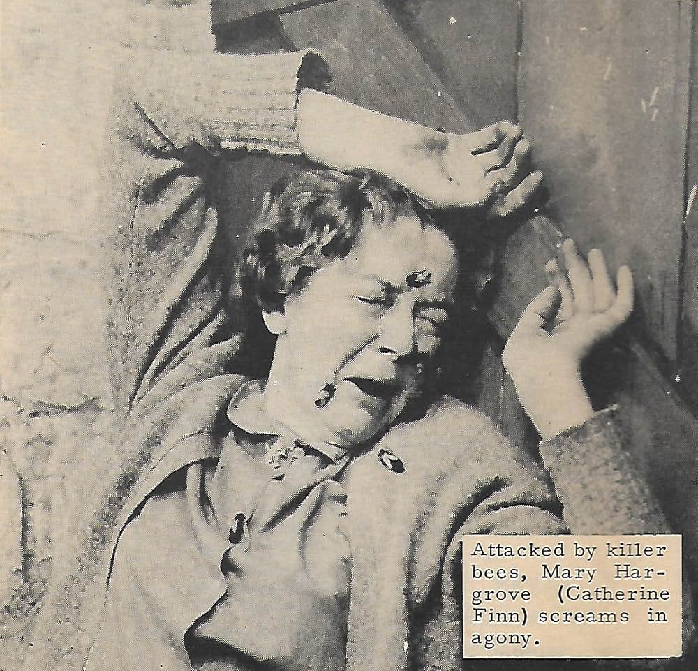 恐怖の昆虫殺人の画像