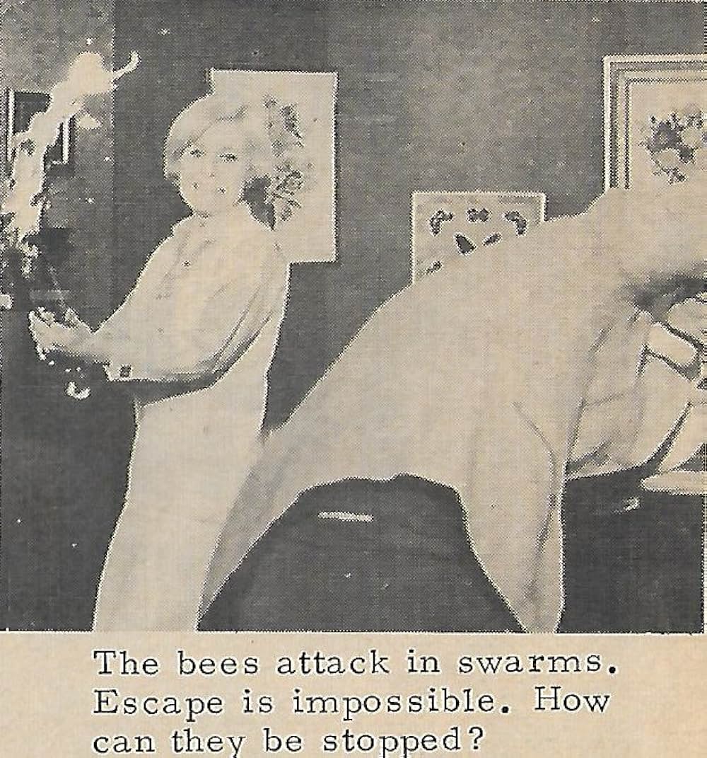 恐怖の昆虫殺人の画像