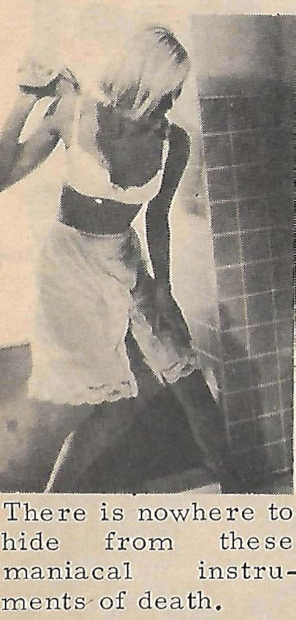 恐怖の昆虫殺人の画像