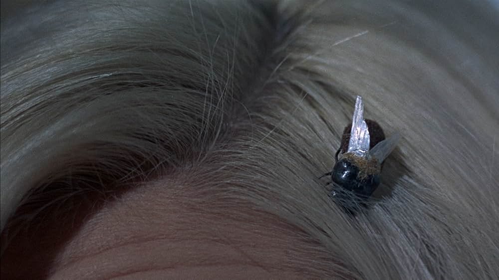 恐怖の昆虫殺人の画像