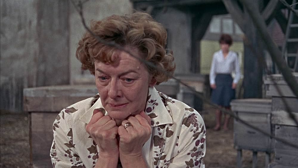 恐怖の昆虫殺人の画像