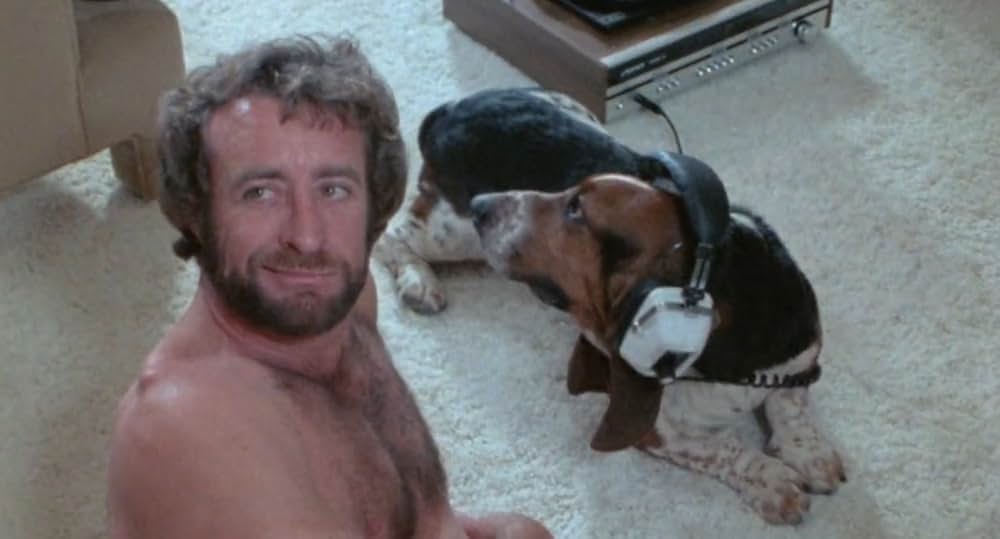 頑張れ！スタントマンの画像