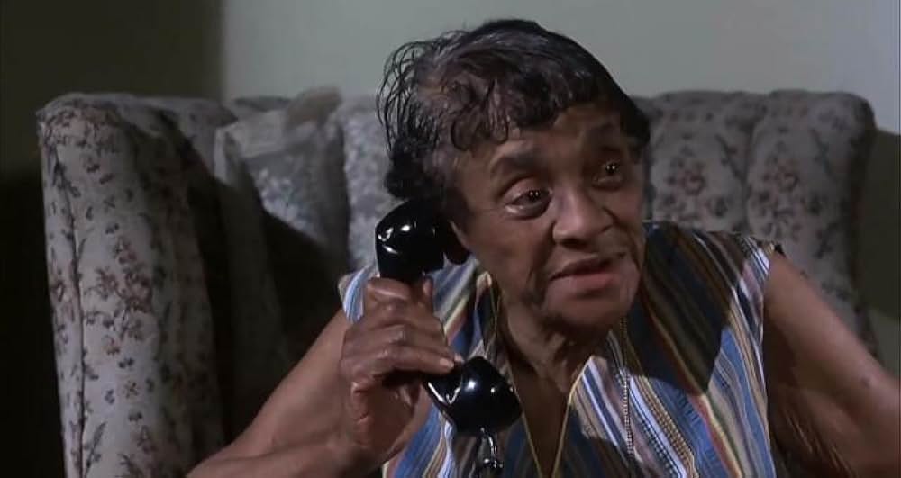 華麗なる陰謀の画像