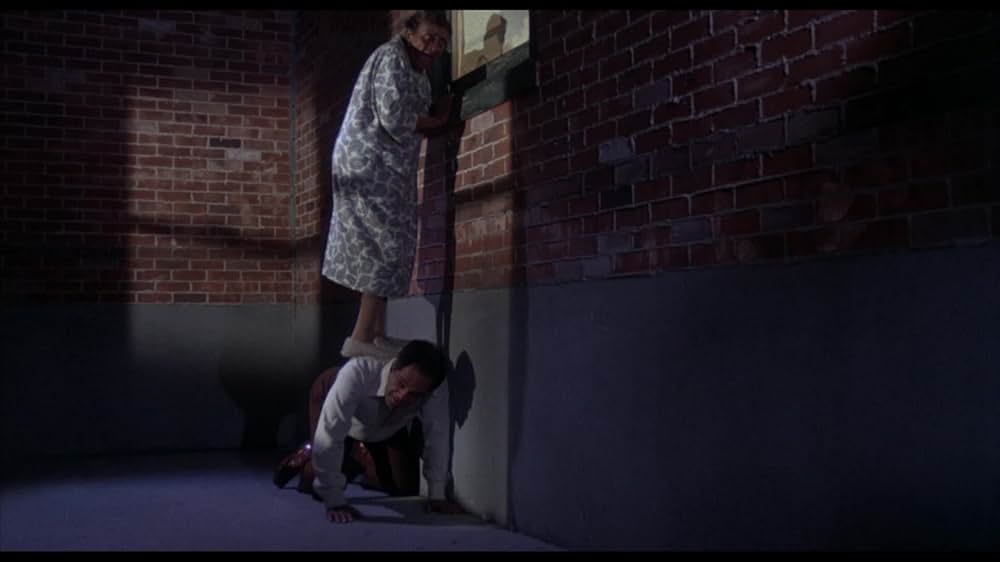 華麗なる陰謀の画像