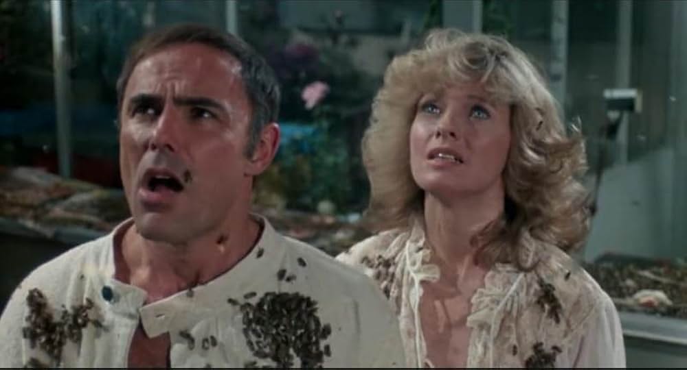 ザ・キラー・ビーズの画像