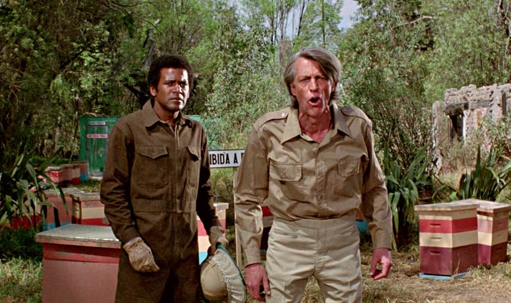 ザ・キラー・ビーズの画像