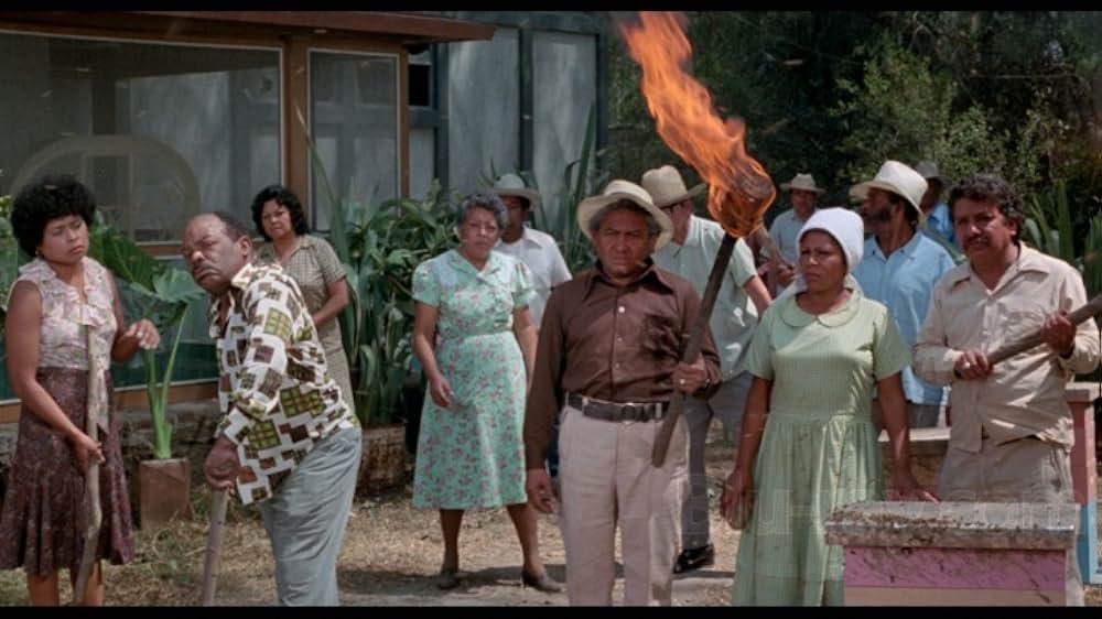 ザ・キラー・ビーズの画像