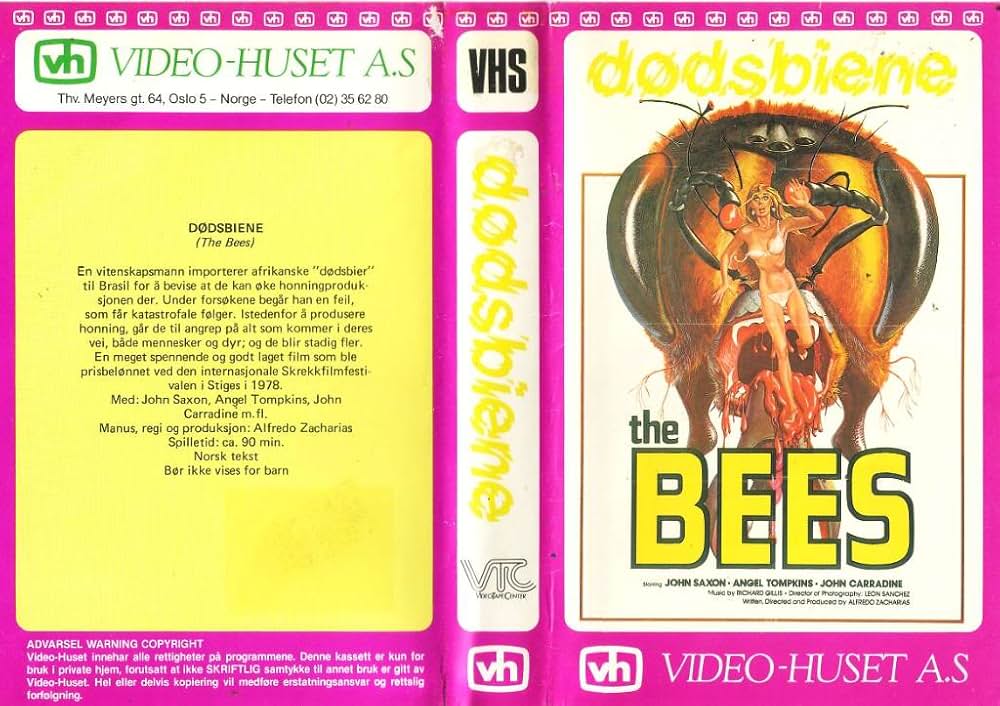 ザ・キラー・ビーズの画像