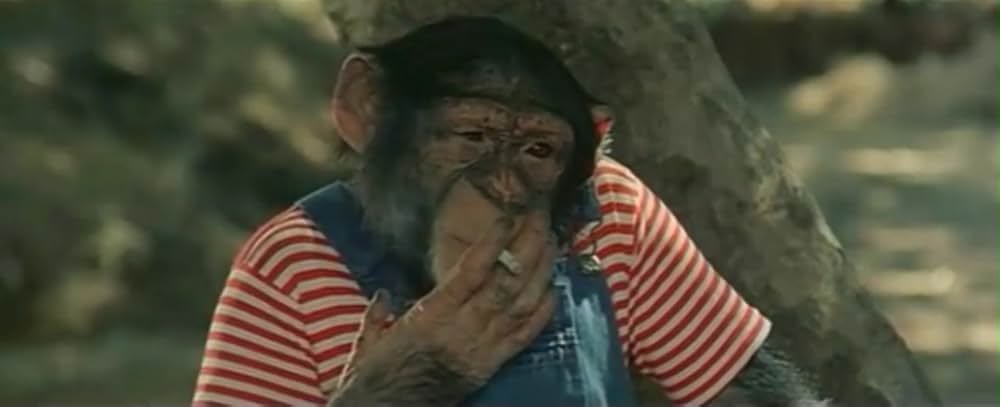 サファリ特急の画像