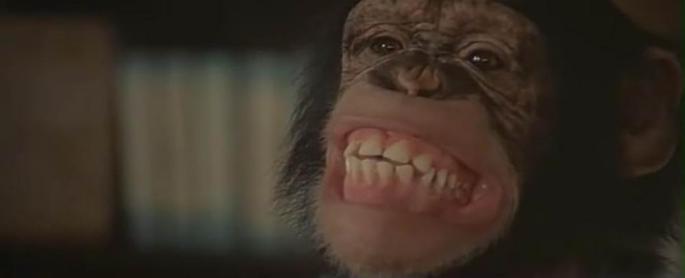 サファリ特急の画像