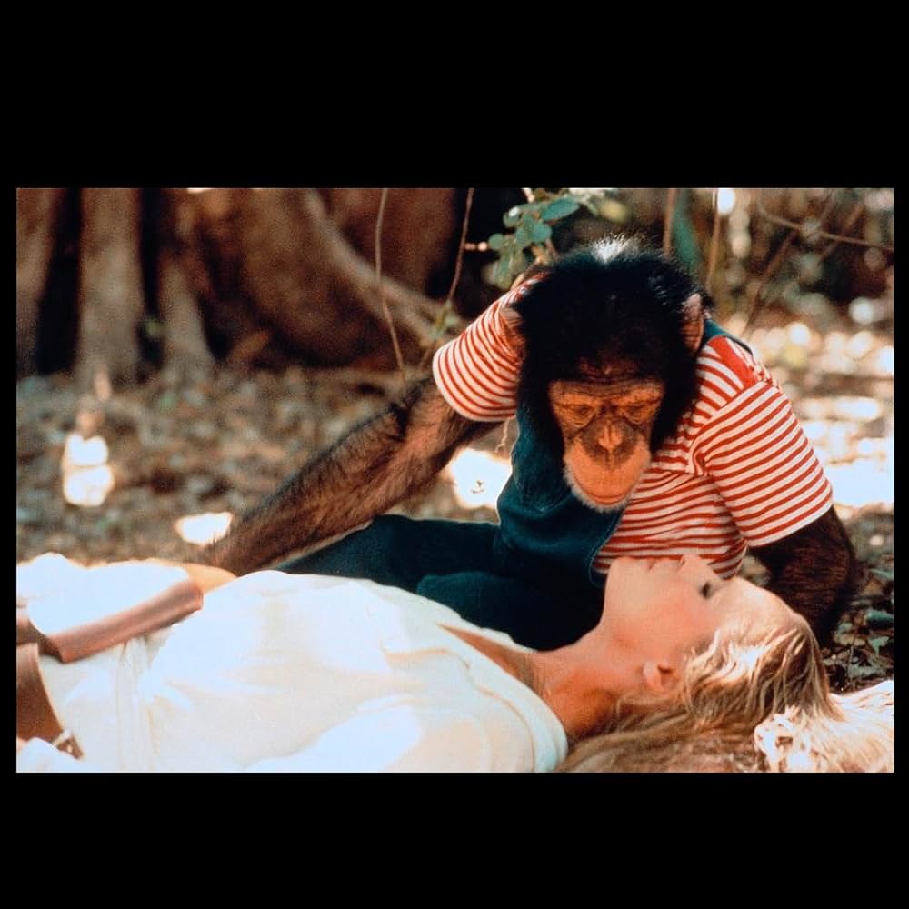 サファリ特急の画像