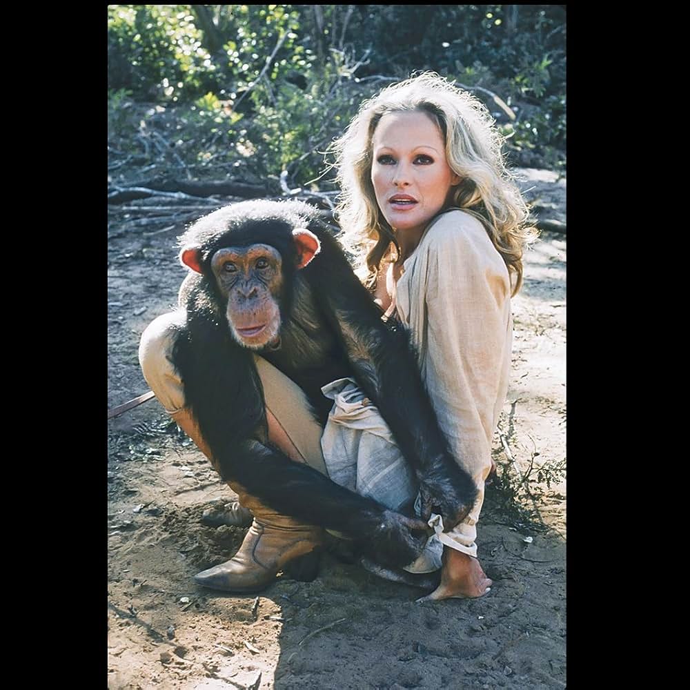 サファリ特急の画像