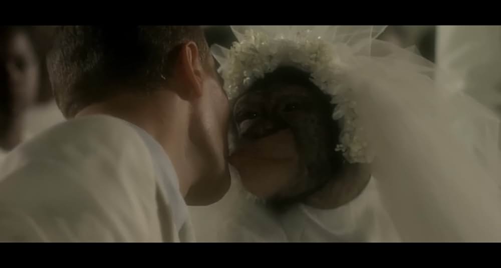 サファリ特急の画像