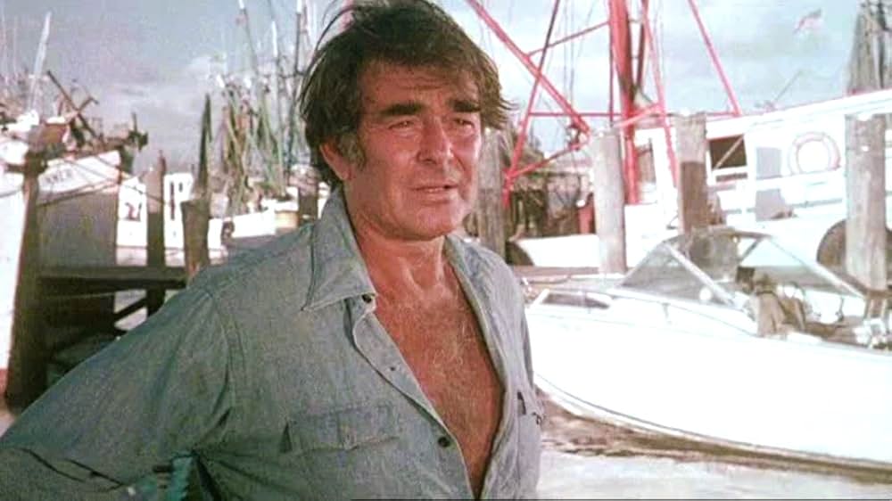 サザンクロス／偽りの暗殺計画の画像