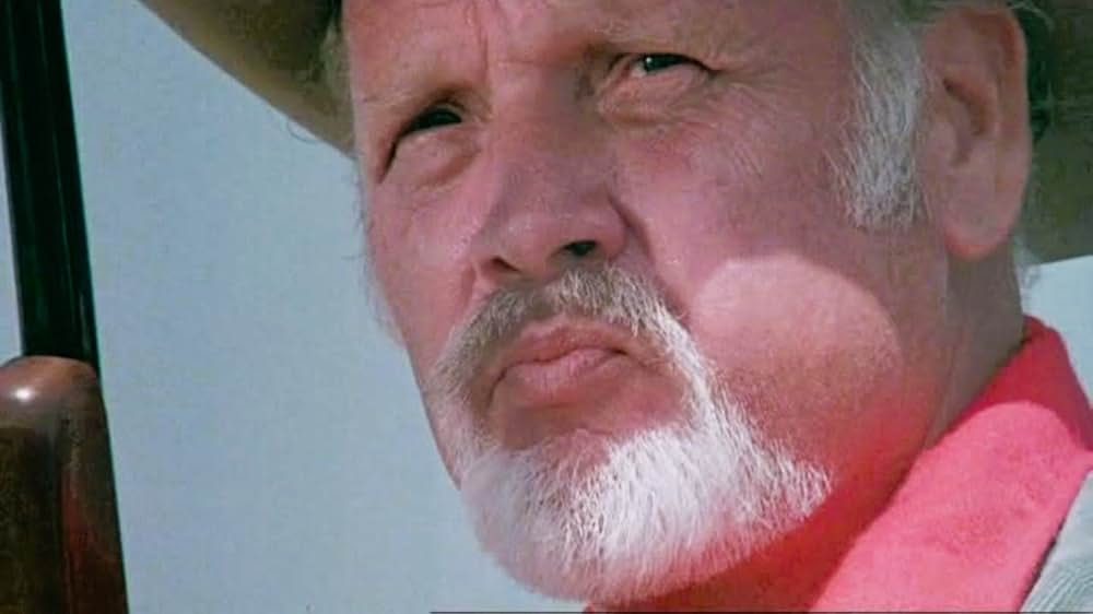 サザンクロス／偽りの暗殺計画の画像