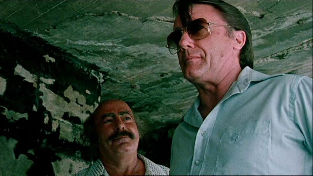 サザンクロス／偽りの暗殺計画の画像