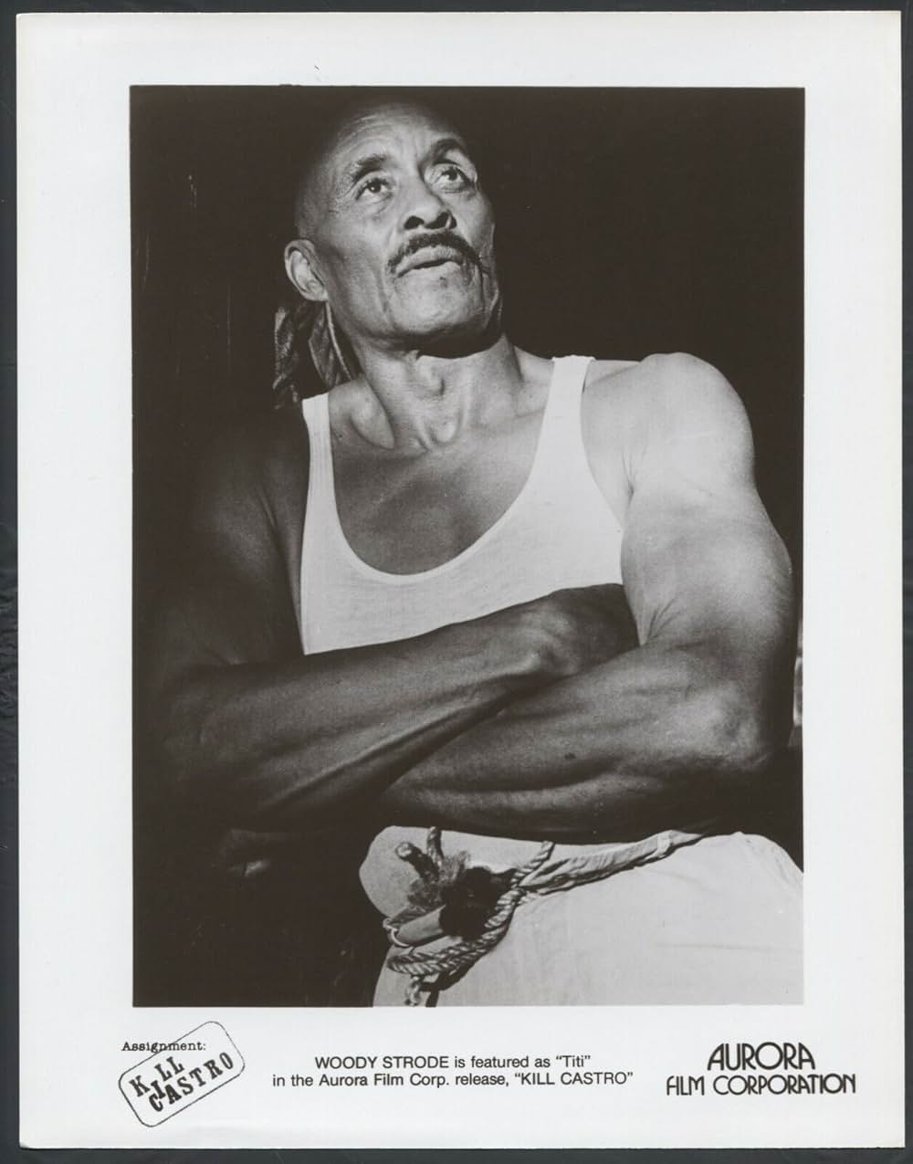 サザンクロス／偽りの暗殺計画の画像