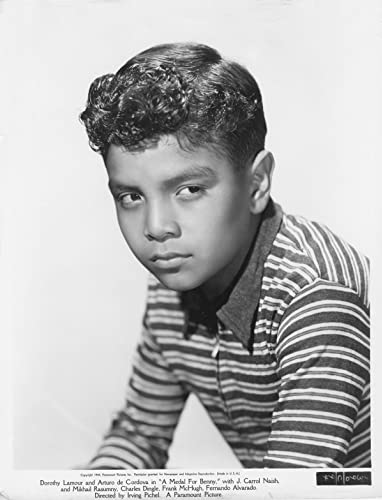 ベニーの勲章の画像