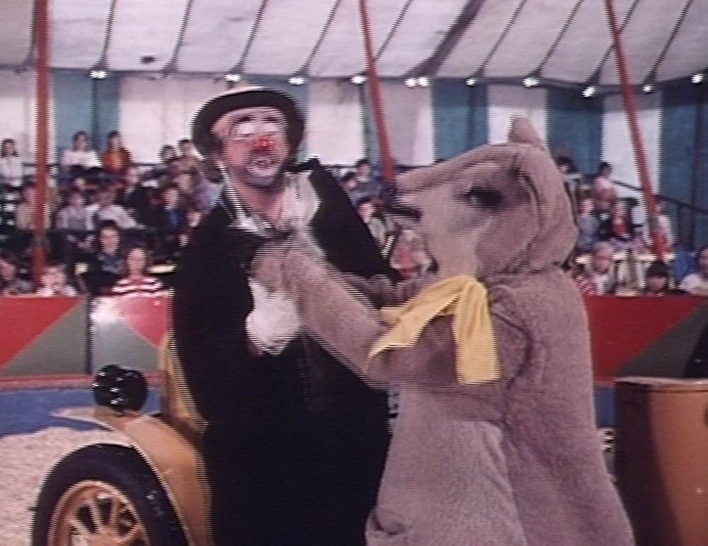 アヌープとチビ象ラニーの画像