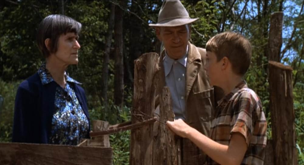 愛の花咲く家の画像